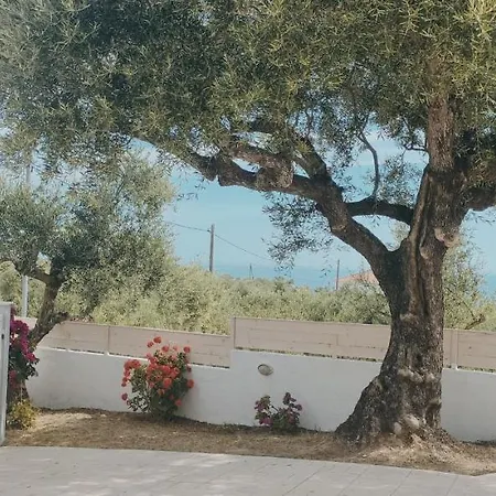 Zante Avia Планос
