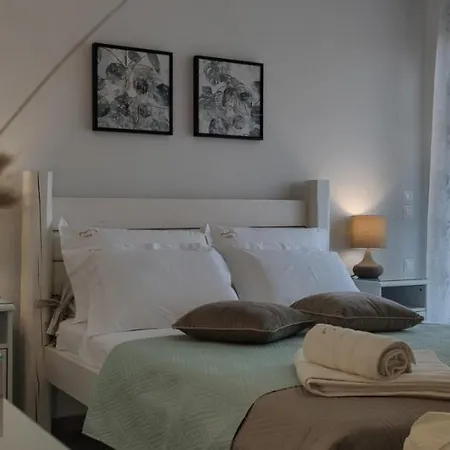 Zante Avia * Plánosz