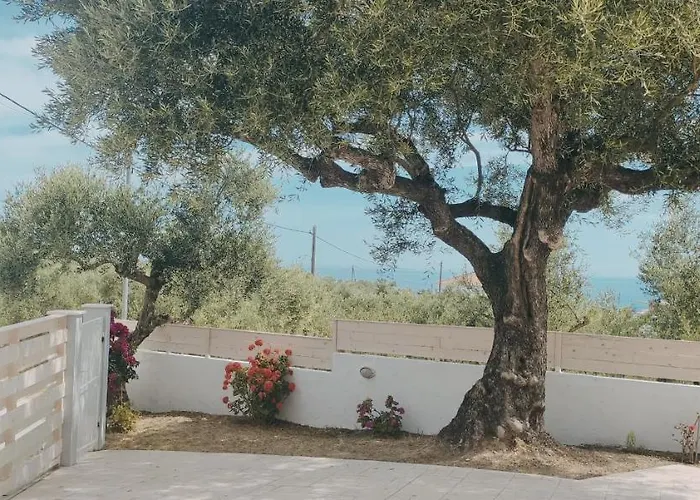 Zante Avia Plános